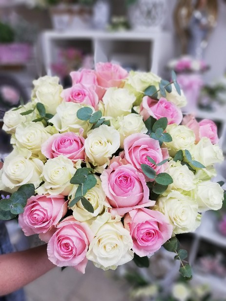kytice růží - bílé růžové růže - eucalyptus - doručování - květin - k narozeninám